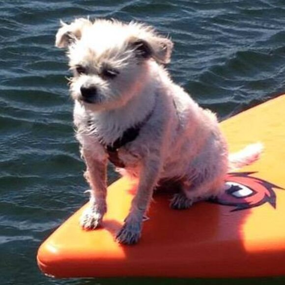 SoFla Native: Too many clothes, not enough house! - Picture 1 of 1